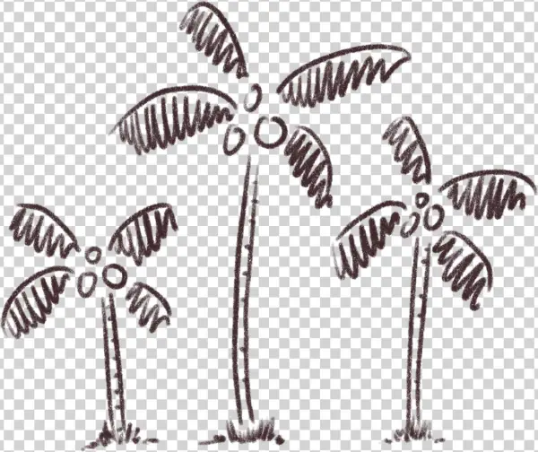 Coconut Bowls - Attalea Speciosa