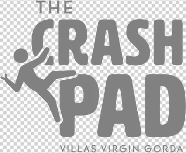 Crash Pad Logo Grey - Vivan Sundaram