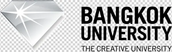 Head Of Seo Lazada - University Of Petroleum And Energy