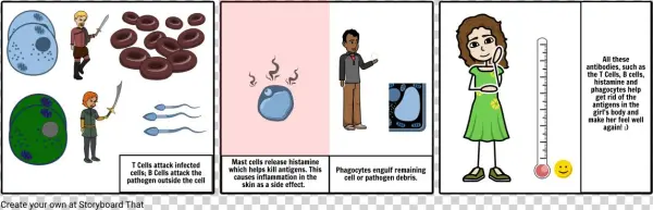 Immune System Pt - Cartoon