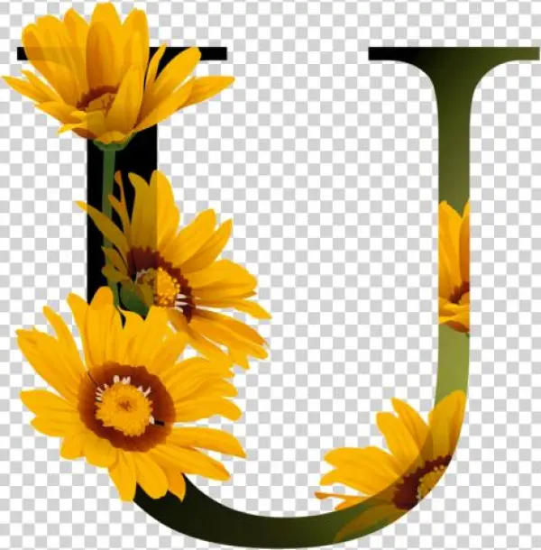 花瓣字母素材 - Letter