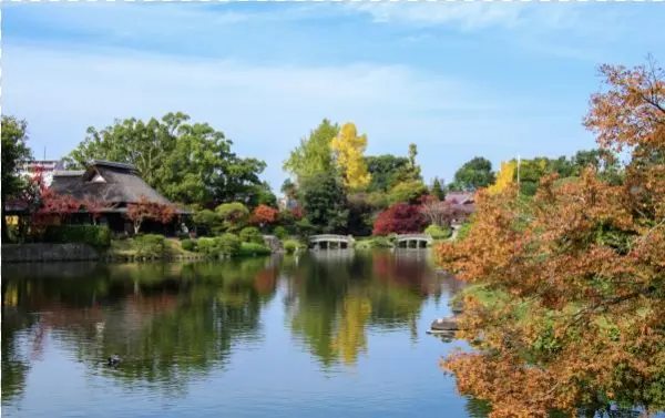 1d Mount Fuji And Kawaguchi Lake - Suizen-ji Jōju-en