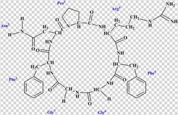 A New Cycloheptapeptide From Zanthoxylum Mezoneurispinosum - Diagram
