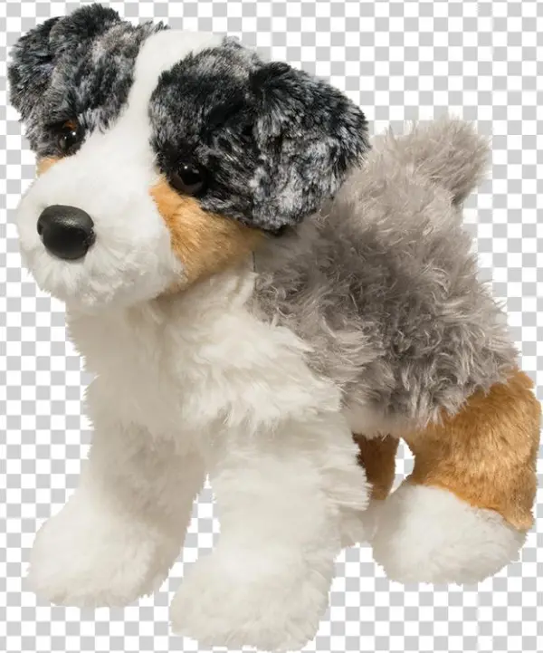 Douglas Blitz Australian Shepherd