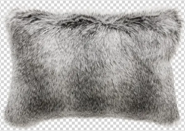 Fgwc30 Grey Wolf - Cushion