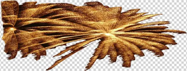 Image Spectacle Feu Artifice Tony Chauvelie - Fireworks