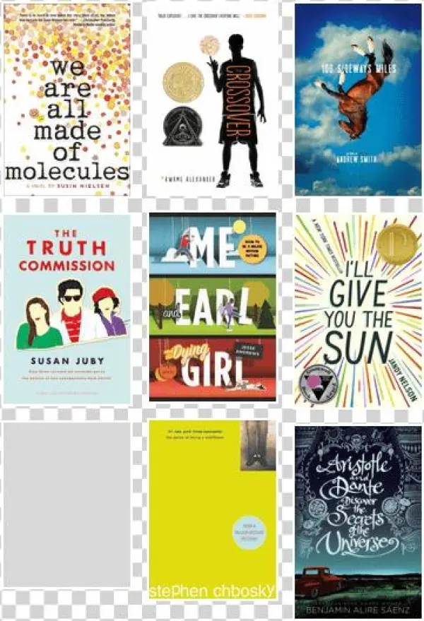 Megan's Realistic Fiction For Teens - We Are All Made Of Molecules [book]