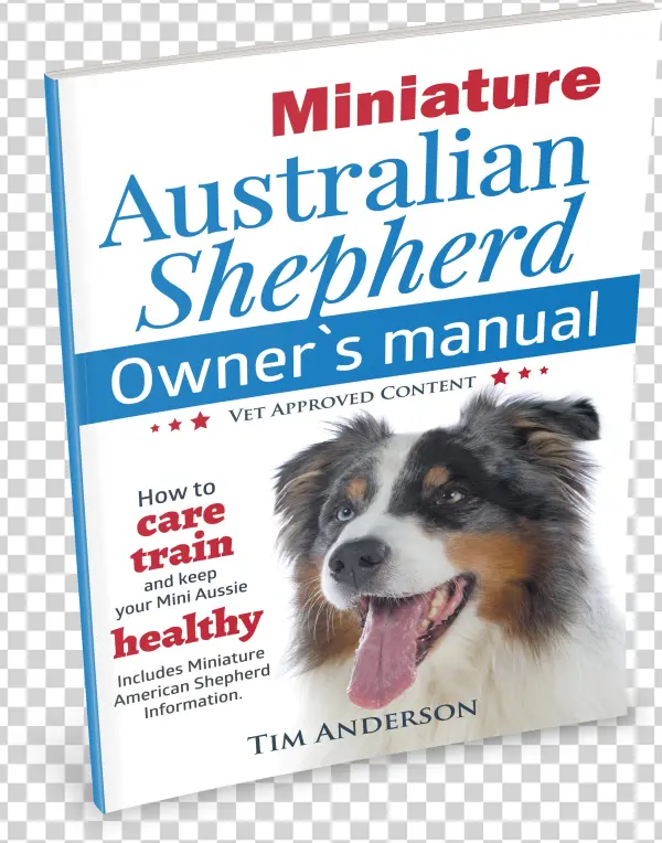Miniature Australian Shepherd Owner's Manual - Miniature Australian Shepherd Owner's Manual. How To