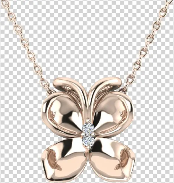 P 310 Pg - Portable Network Graphics