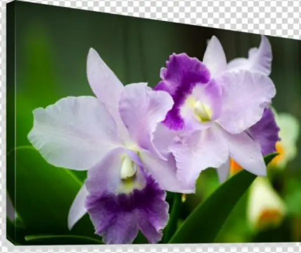 Purple Orchid Flower Canvas Print - Printing