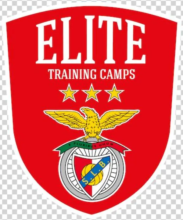 Search - - S.l. Benfica