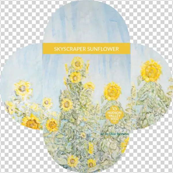 Skyscraper Sunflower - Henry Field's Seed & Nursery Company Skyscraper