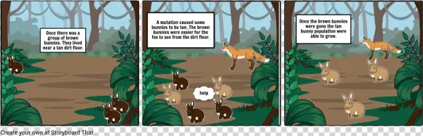 Tan Vs Brown Bunnies - Storyboard