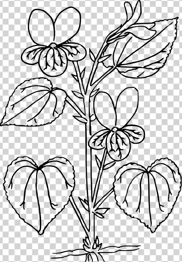 This Free Icons Png Design Of Pioneer Violet