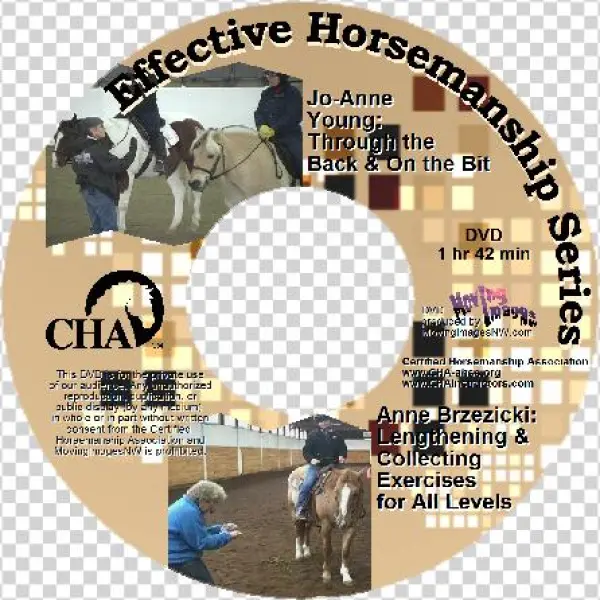 Through The Back And On The Bit Dvd Cover - Cha