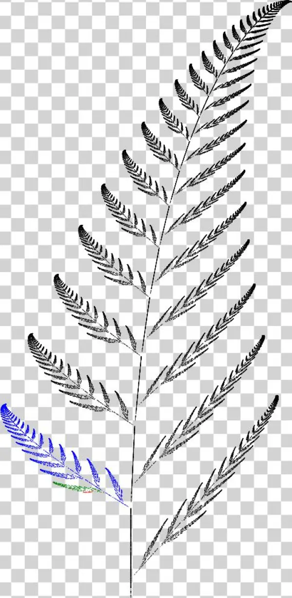 Barnsley Fern Funktion3 - Vertebral Column