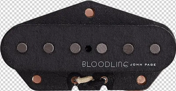Bloodline® By John Page Jp-3t Bridge Tele® - Tool