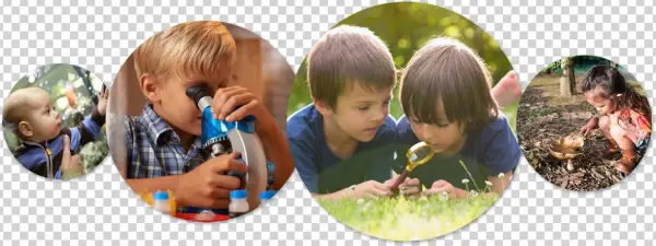 Curiosity-image - Toddler