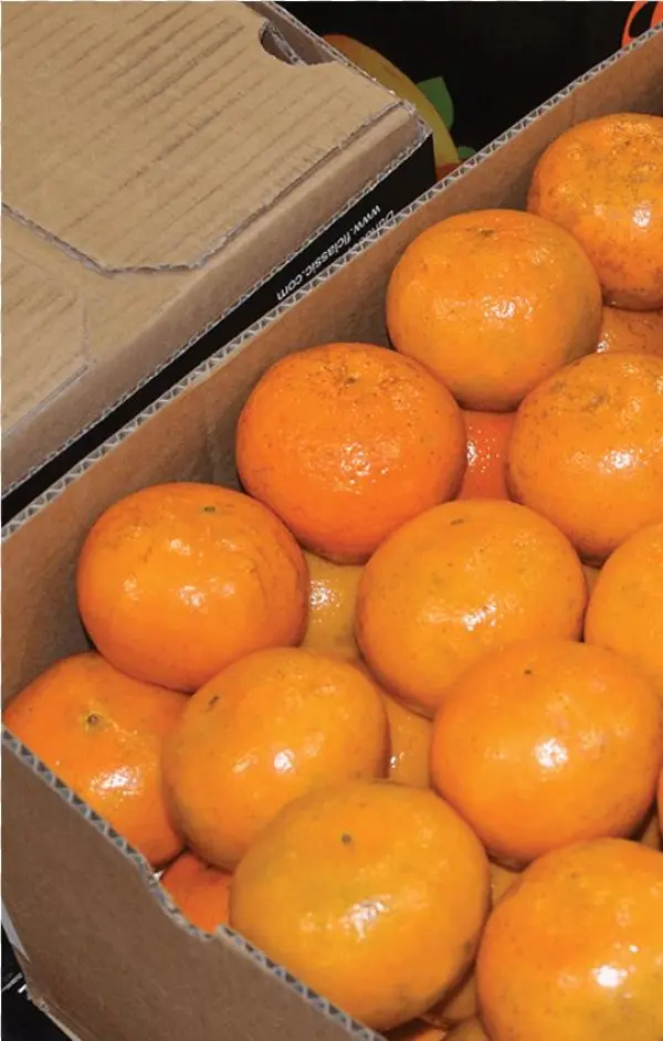 Fresh Blueberries - Tangerine