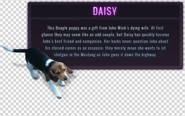 Garage Car Panel Daisy - Daisy John Wick