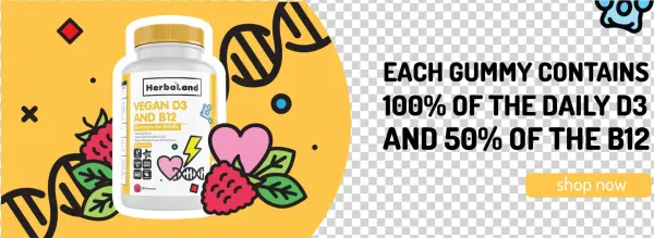 Herbaland Naturals Inc - Herbaland Vegan Vitamins D3 & B12 Gummy