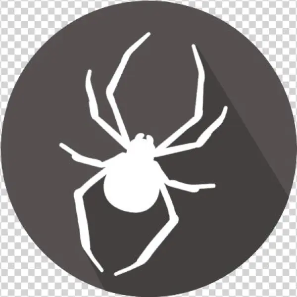 Protect Your Home With Pest Express