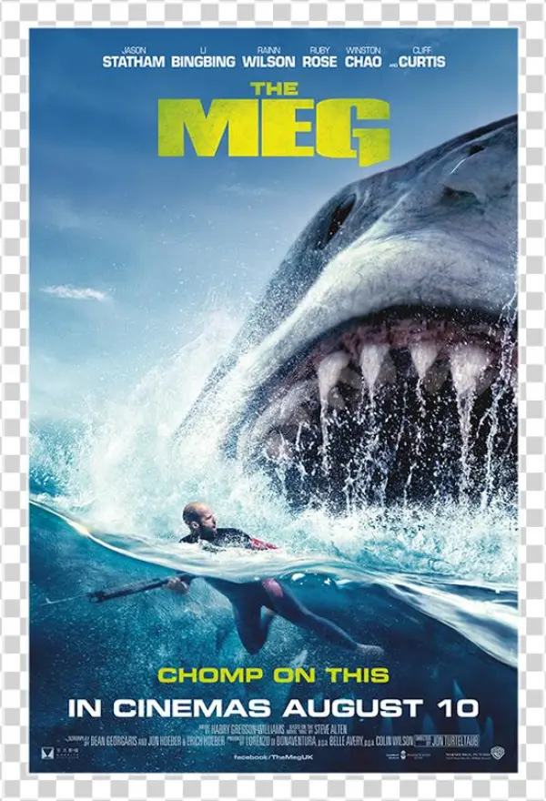 Wtf Meg 6sht - Meg Cover