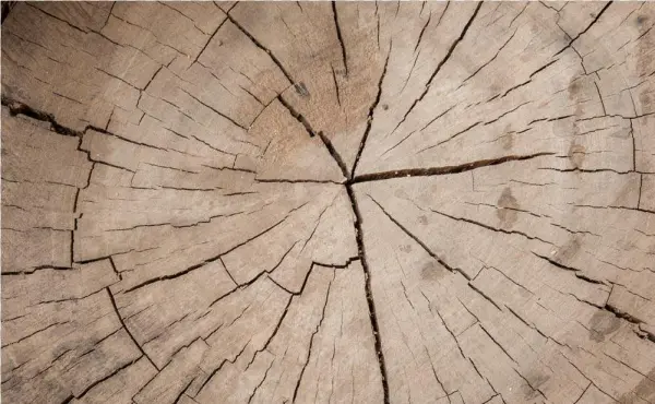 Broken Wood Png Banner Black And White Library