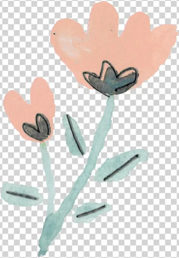 Flowers - Portable Network Graphics