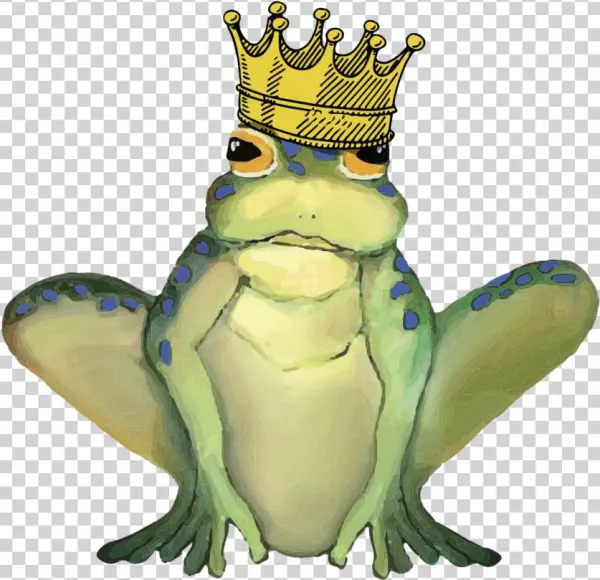 Leroi King Transparency - Portable Network Graphics