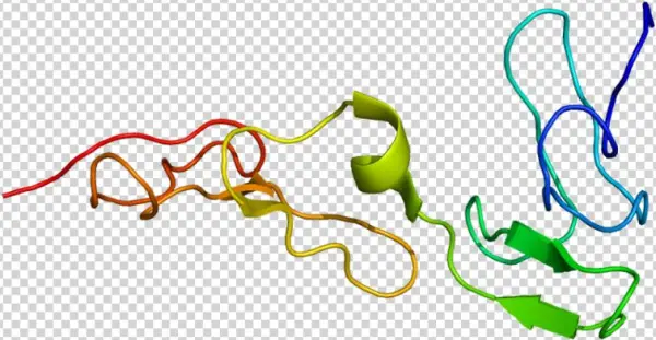 Protein Pros1 Pdb 1z6c - Proteina S
