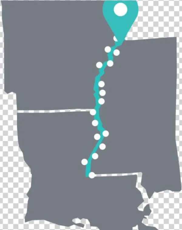 Reforestation Project - Graphic Design