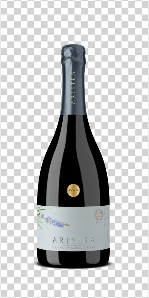 Sparkling - Champagne Ferrari Magnum