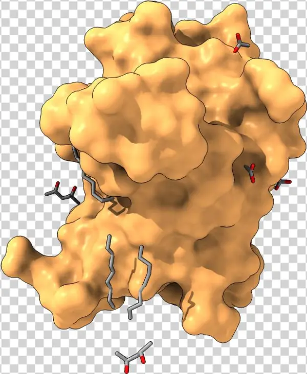 Surface Display - Map