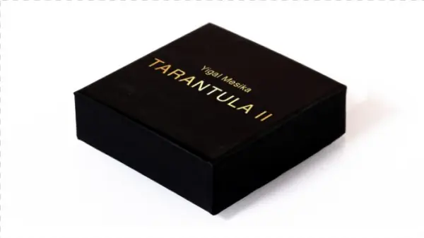 Tarantula Ii By Yigal Mesika - Yigal Mesika