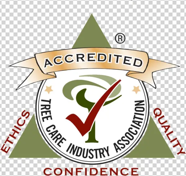 Tcia Accredited