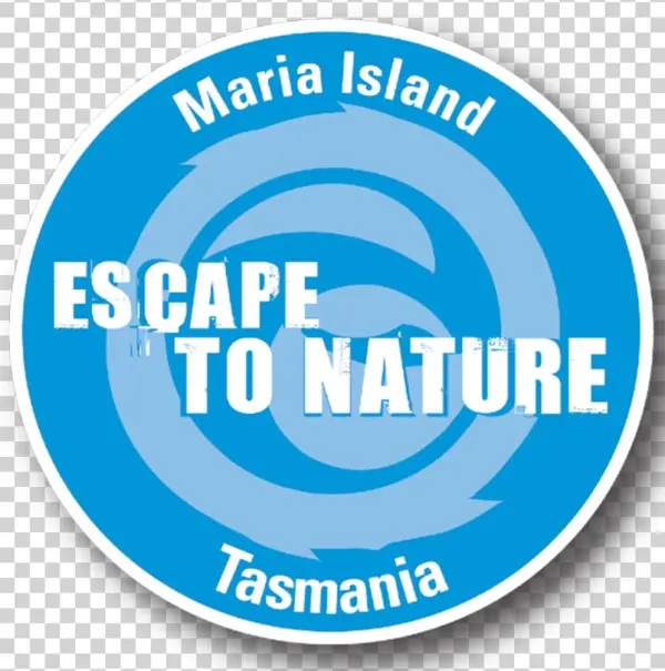 Visitors Explore The Island To Disconnect From Ordinary