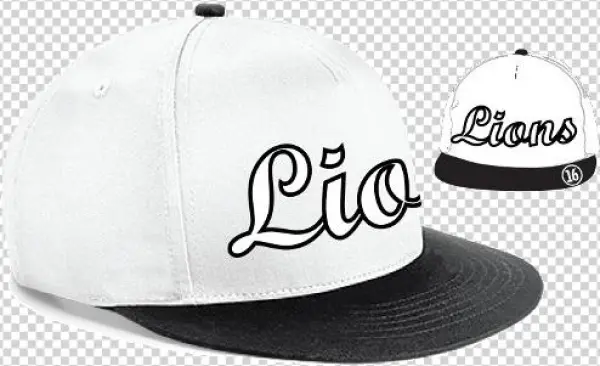 Ware Lions Snap Back - Baseball Cap