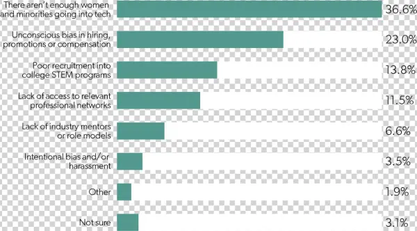 What Do You Believe Is The Primary Cause Of The Underrepresentation - Pattern