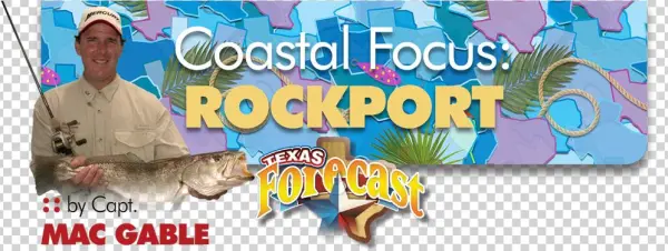 Which Way Did They Go - Aquadvantage Salmon