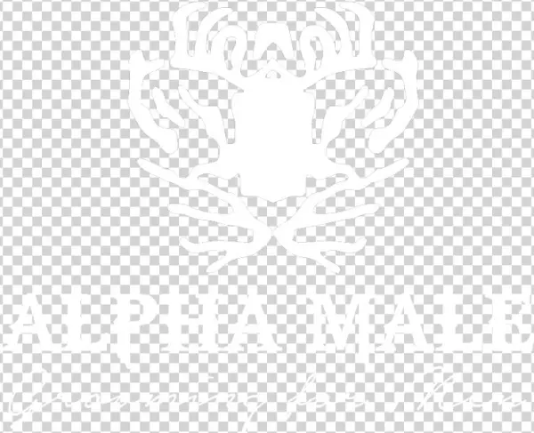 Alpha Male - Tiger Of Sweden