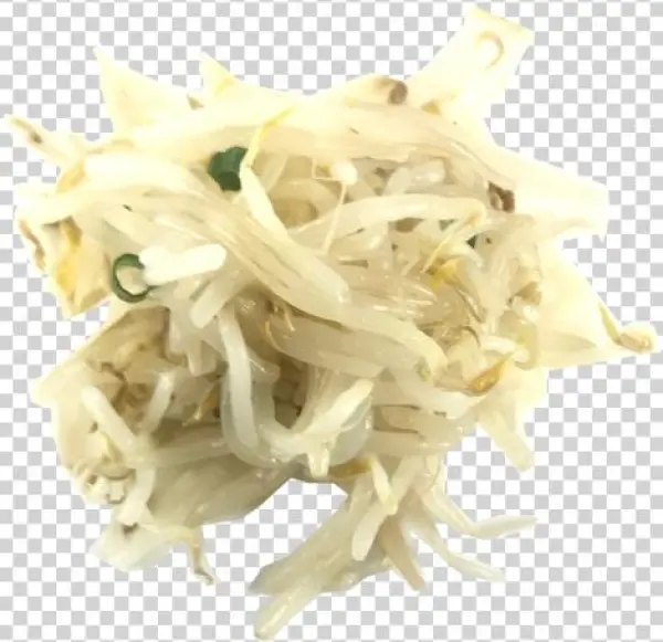 Bean Sprout - Honeysuckle