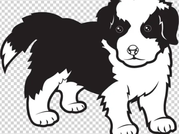 Border Collie Clipart