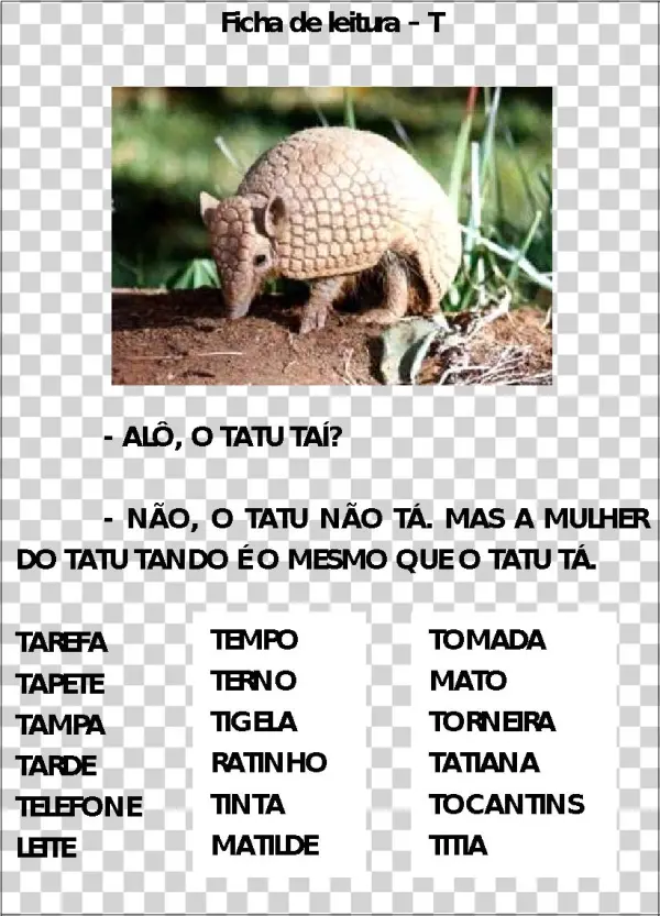 Cantinho Da Kate - Literacy