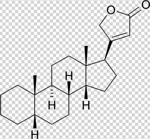 Cardenolide Structure