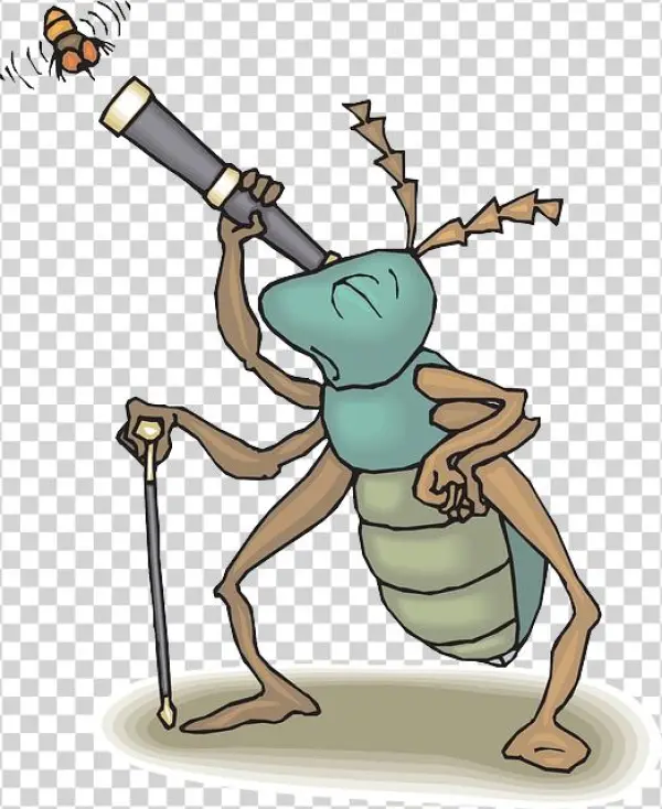 Cartoon, Telescope, Bug, Fly, Flying, Watching, Insect - Science