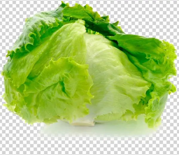 Category - Айсберг Салат Цена