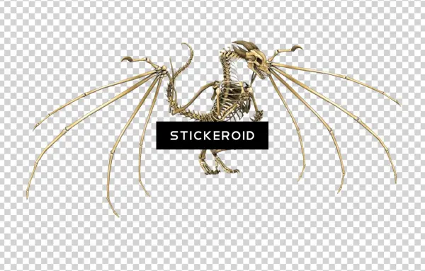 Dragon Skeleton