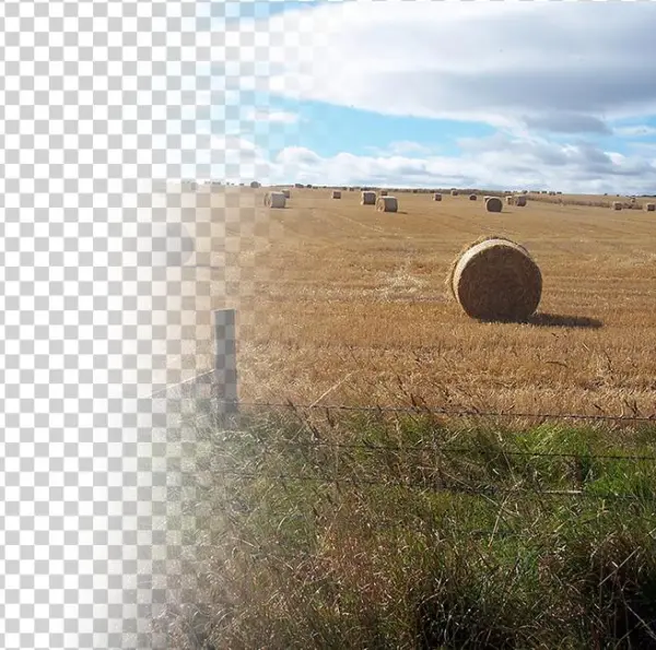 Farming-customers 01 - Agriculture