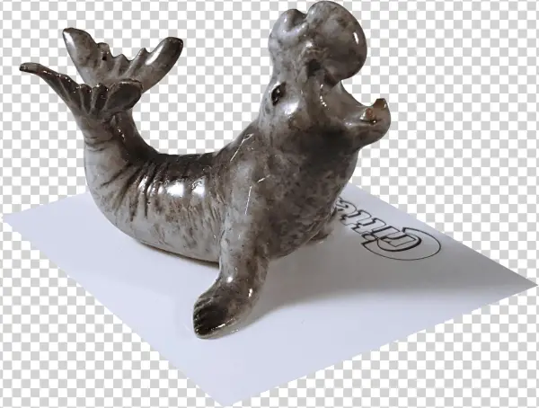 "mirounga" Elephant Seal